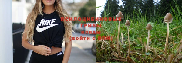 скорость Абинск