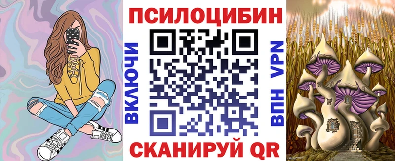 закладка  Курск  Псилоцибиновые грибы Psilocybe 